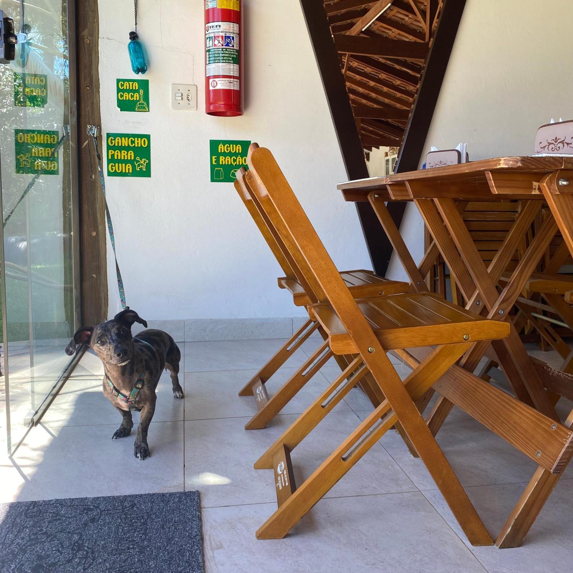Acalanto Inn Socorro  Εξωτερικό φωτογραφία